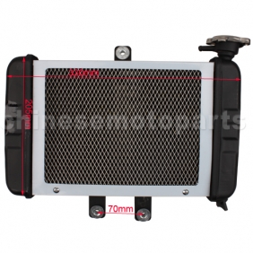 Medium Radiator for 200cc-250cc water-cooled ATV, Dirt Bike & Go Kart<br /><span class=\"smallText\">[F039-014]</span>