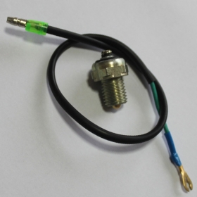 Reverse Switch for Loncin 250cc ATV<br /><span class=\"smallText\">[E034-050]</span>