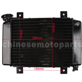 Small Radiator for 200cc-250cc Water-cooled ATV, Dirt Bike & Go Kart<br /><span class=\"smallText\">[F039-010]</span>