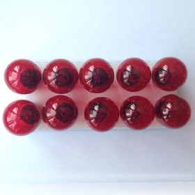 10 PCS Of NOS S-25 Halogen Lamp Replacement Bulbs Red 12V 21/5W BAY15D<br /><span class=\"smallText\">[J067-025-1]</span>