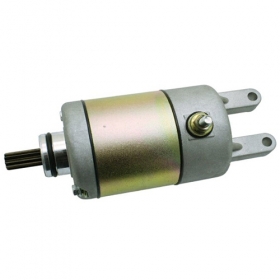 9-Teeth Starter Motor for VOG 260 Starter Motor BN169MM Linhai 250/260/300<br /><span class=\"smallText\">[K085-088]</span>